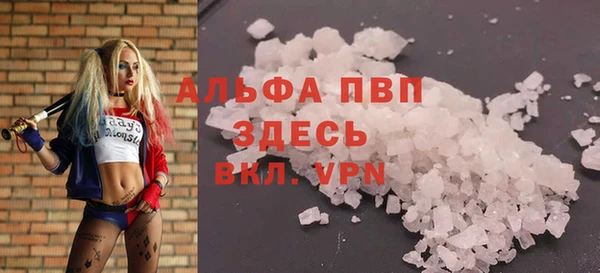 мдпв Белокуриха