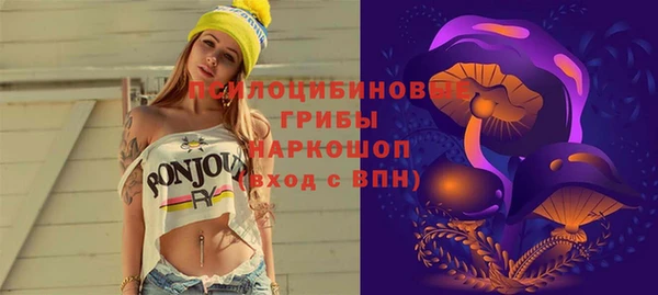 мдпв Белокуриха