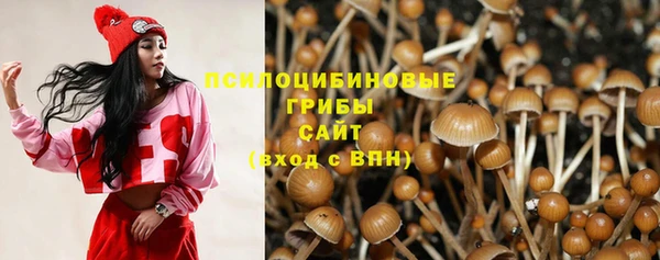 мдпв Белокуриха