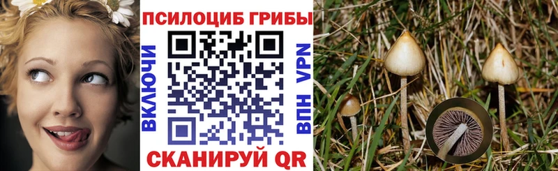 Псилоцибиновые грибы Magic Shrooms  Покровск 